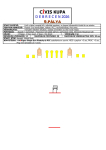 9. Pálya